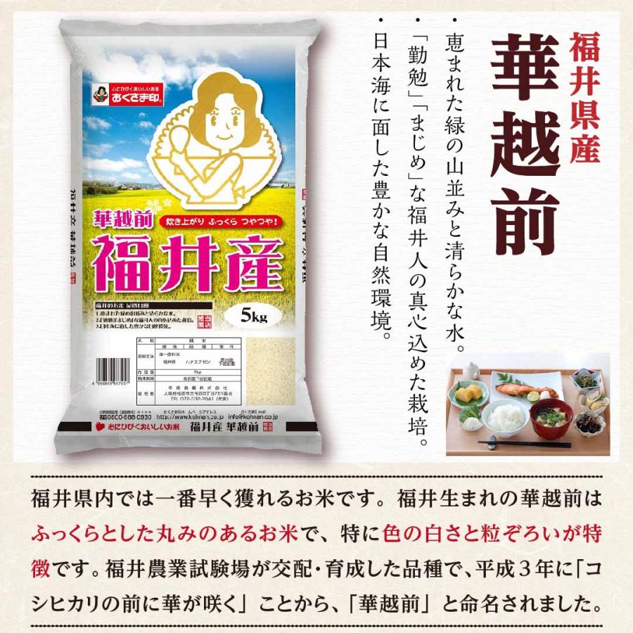 米10kg 米 お米 10kg 白米 送料無料 華越前 ハナエチゼン 福井県産 安い 米5kg×2 こめ 米10キロ お米10キロ 10キロ お米10kg 精米 単一原料米 令和5年産 新米