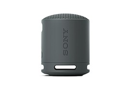 SRS-XB100