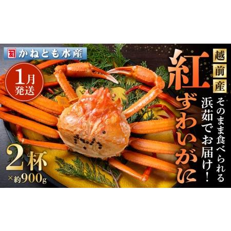 ふるさと納税 越前がに本場の越前町からお届け！浜茹で紅ずわいがに 約900g × 2杯 食べ方しおり付【かに カニ 蟹 紅ズワイ ズワイガニ ずわ.. 福井県越前町