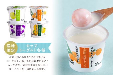 おみたまヨーグルトセット ヨーグルト ドリンクタイプ 飲むヨーグルト 乳酸菌飲料 ヨーグルト飲料 低糖 低カロリー 敬老の日 お取り寄せ 詰め合わせ プチギフト 誕生日 内祝い スイーツ 腸活 善玉菌 善玉菌ケア 菌活 乳酸菌ドリンク ビフィズス菌 １?Ｌ