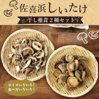 干し椎茸　１０袋　計３００ｇ