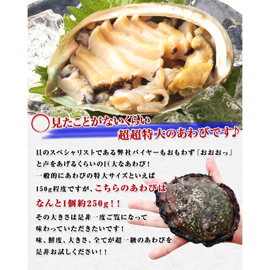 超超特大 あわび 250g×4個 1kg 鮑 アワビ 生食可能 お刺身 酒の肴 ステーキ 冷凍便 お取り寄せグルメ 食品 ギフト 海鮮