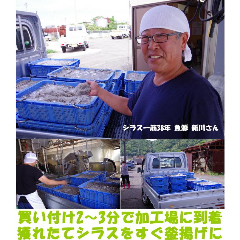 しらす 釜揚げ お中元 ギフト 贈答用 和歌山 辰ヶ浜 魚源水産 天然塩使用 未冷凍 500g 無添加 1級品 究極の鮮度