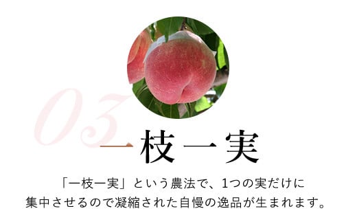 ＜2024年先行予約＞特大桃 5～6個入り 約2.0kg 山梨一宮産の桃 朝採り 産地直送  088-001