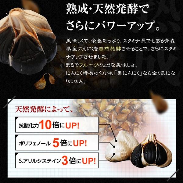 黒にんにく 青森 お試し  6日間分 極黒 熟成黒ニンニク ポイント消化 送料無 メール便