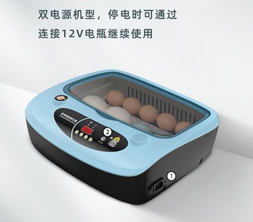 迷你蘆丁雞孵化機孵化器小型家用全自動智能鸚鵡鵪鶉小鳥蛋孵化箱110V  森馬先生旗艦店