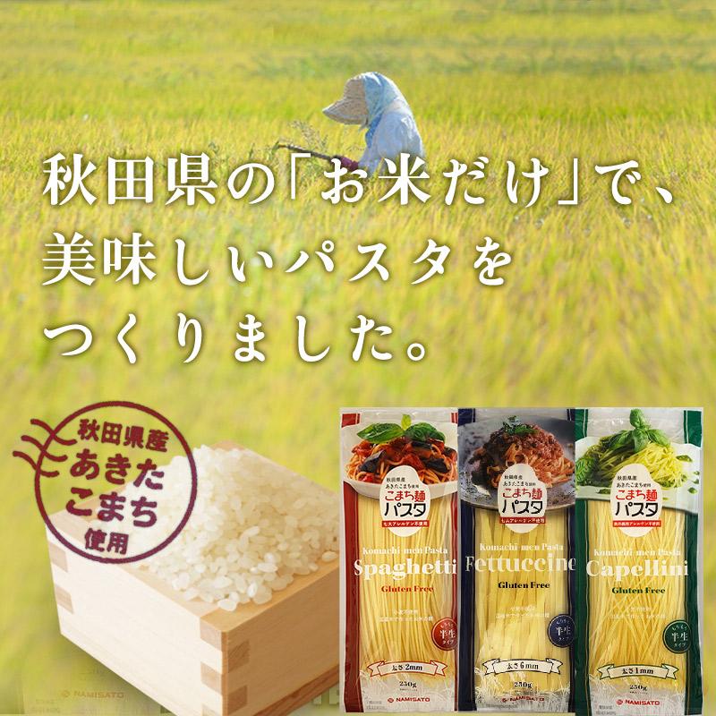 パスタ グルテンフリー お米のパスタ こまち麺 フェットチーネ 250g×3袋 (6食入) 送料無料 無塩 早ゆで 国産 米粉麺 半生麺 ライスヌードル