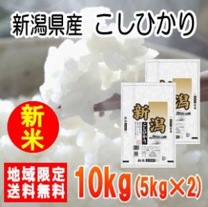 令和5年産新潟県産こしひかり10kg（5kg×2）※北海道・九州・沖縄は別途送料かかります。米　10キロ　送料無料