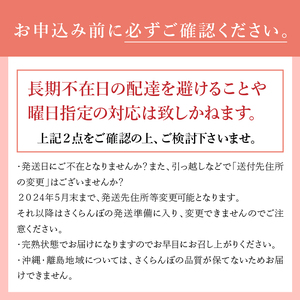 極上品大玉・さくらんぼ 2L～3L一段並 約500g／毎日農業記録賞・全国最優秀賞受賞