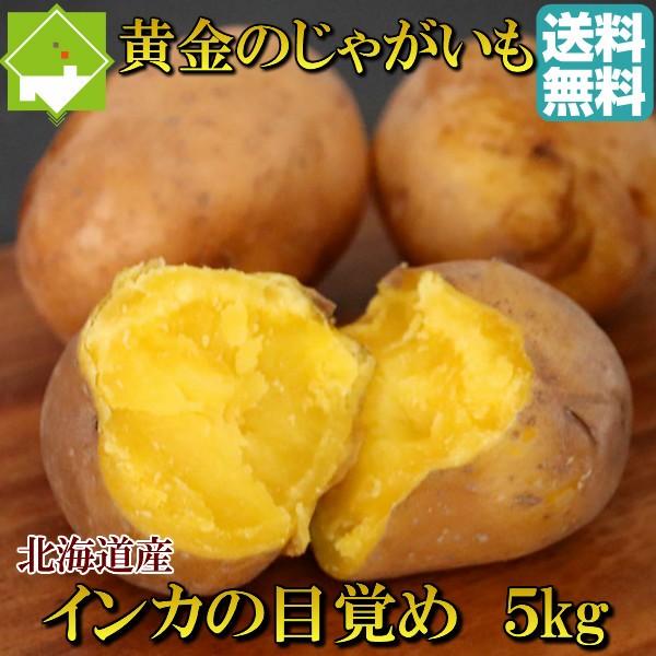 じゃがも 北海道産 インカのめざめ 5kg　送料無料　別途送料が発生する地域あり