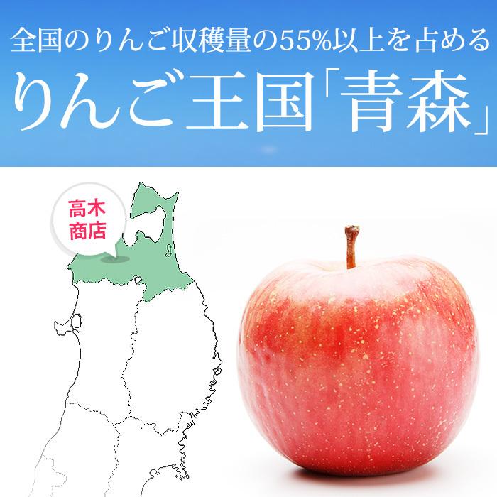 りんご 青森県産 サンふじ 訳あり 約5kg 16〜20玉