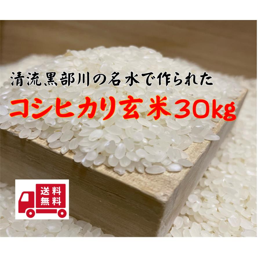 5年産1等コシカリ玄米30kg