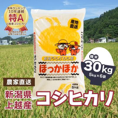 ふるさと納税 上越市 令和5年産 「新潟県産」豊かな自然で育てた上質なコシヒカリ30kg