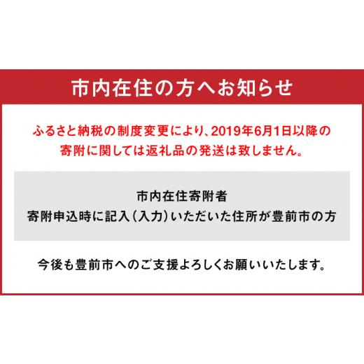 ふるさと納税 福岡県 豊前市 爽やか春あまおう約285g×4パック 《豊前市》?【北海道…