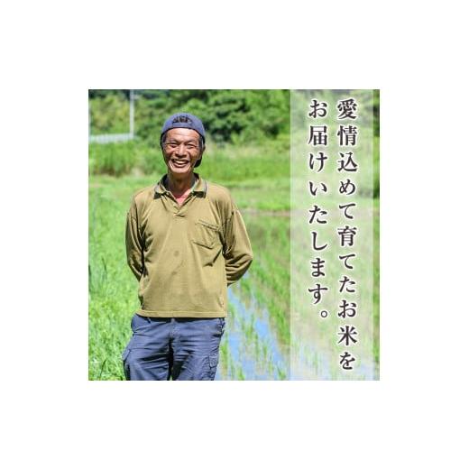 ふるさと納税 鹿児島県 阿久根市 ＜定期便・全3回＞鹿児島県産のお米！あきほなみ(1回のお届け5kg・計15kg)国産 ご飯 白米21-14