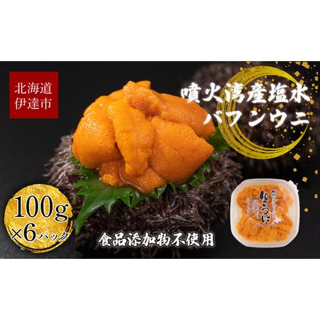 ふるさと納税 北海道 噴火湾産 塩水 バフンウニ 100g 6パック 計600g うに ウニ 雲丹 海鮮 海の幸 魚介類 ウニ丼 お寿司 濃厚 無添加 産地直送 .. 北海道伊達市