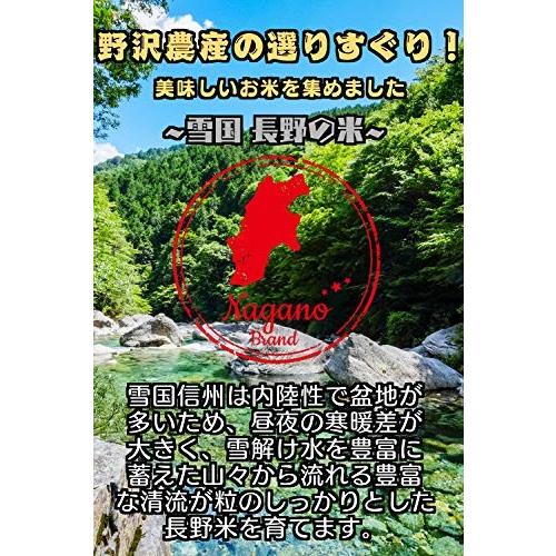 野沢農産生産組合 精米 令和元年産 長野県産 コシヒカリ 5kg