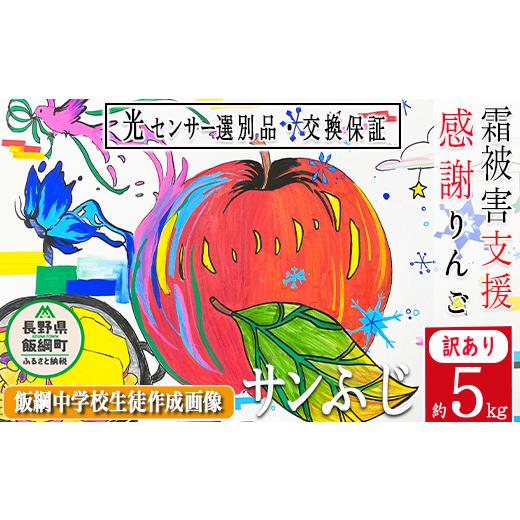 ふるさと納税 長野県 飯綱町 りんご サンふじ 訳あり ５Kg （12〜25玉）  果物 交換保証 長野 「 感謝りんご 」 「ふるさとチョイス限定中学生応援企画返礼品…