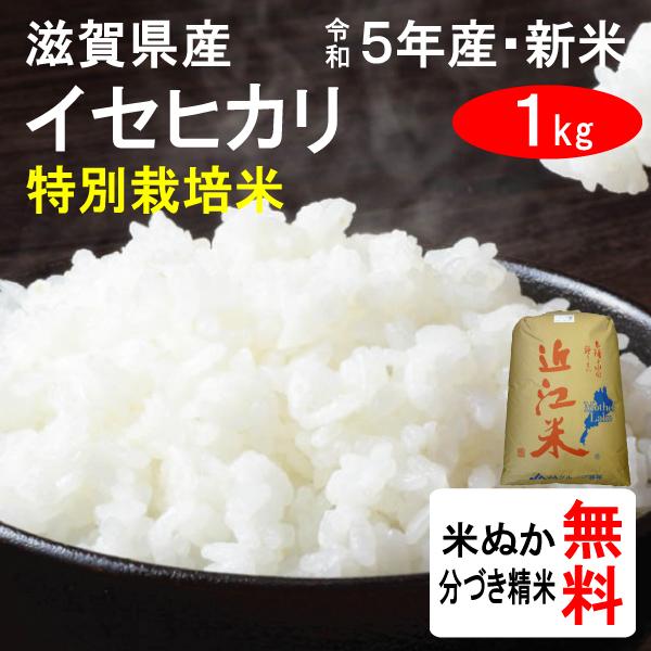 新米 1kg 滋賀県近江八幡市 特別栽培米 イセヒカリ 2等玄米
