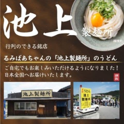 送料無料 池上製麺所 讃岐生うどん 180g×2袋 [ﾒｰﾙ便]食品 ポイント消化 送料無 お試し 食品 うどん 取り寄せ ご当地グルメ