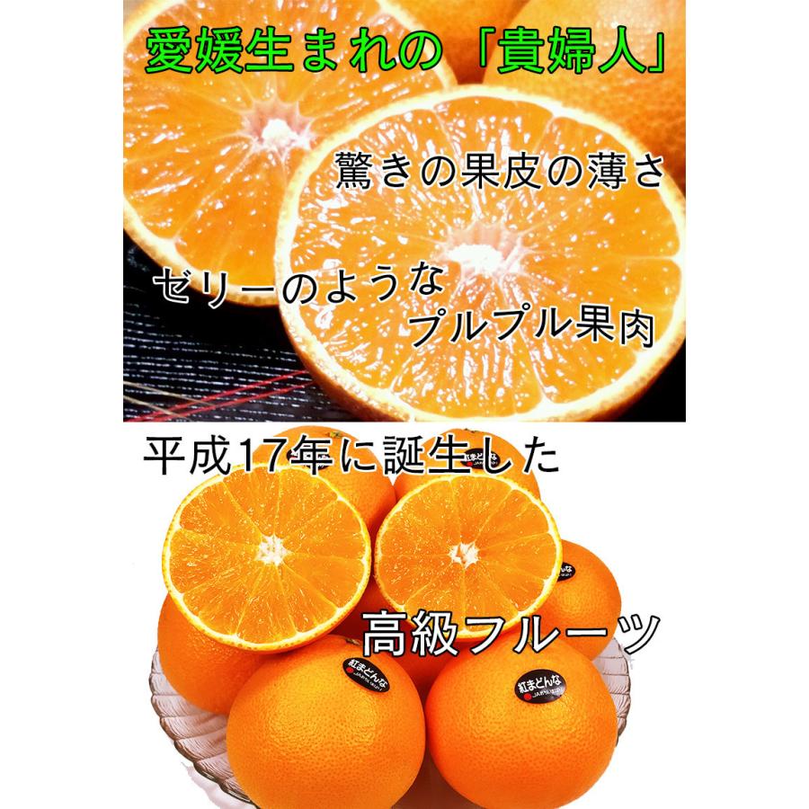 紅マドンナ 紅まどんな 送料無料 愛媛県 紅まどんな 3kg 15個入 ご家庭用 愛媛の貴婦人 お歳暮 ギフト 予約 12月上旬頃から