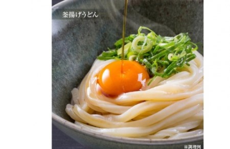 「2日工程熟成仕込み」手延半生うどん　10袋