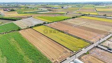 嘉義新港近南洋紡織方正免整理農地｜嘉義縣新港鄉菜公厝