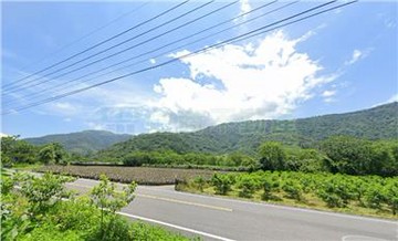 專任 台東鹿野馬路旁方正農地｜台東縣鹿野鄉隆昌段​
