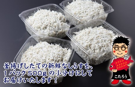 釜揚げしらす 合計 2kg（500g×4）