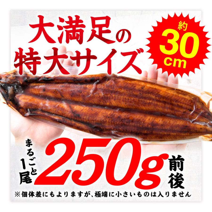 和牛 鰻 セット特大 うなぎ 蒲焼き 1尾と 黒毛和牛 ローススライス 300g 冷凍食品