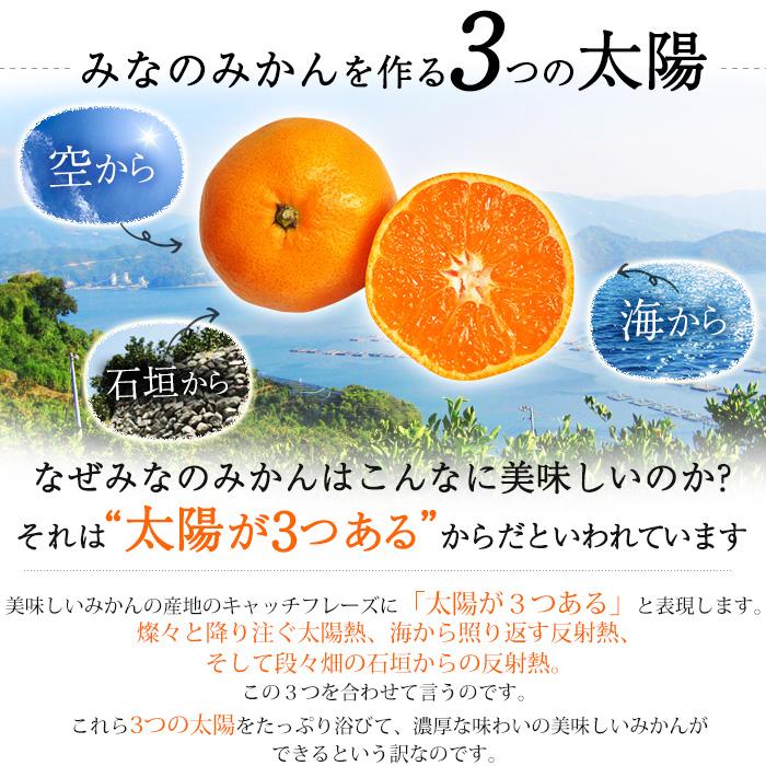 みかん 愛媛県産 みなの共選のみかん 特秀品 約3kg S〜Mサイズ 30〜40個