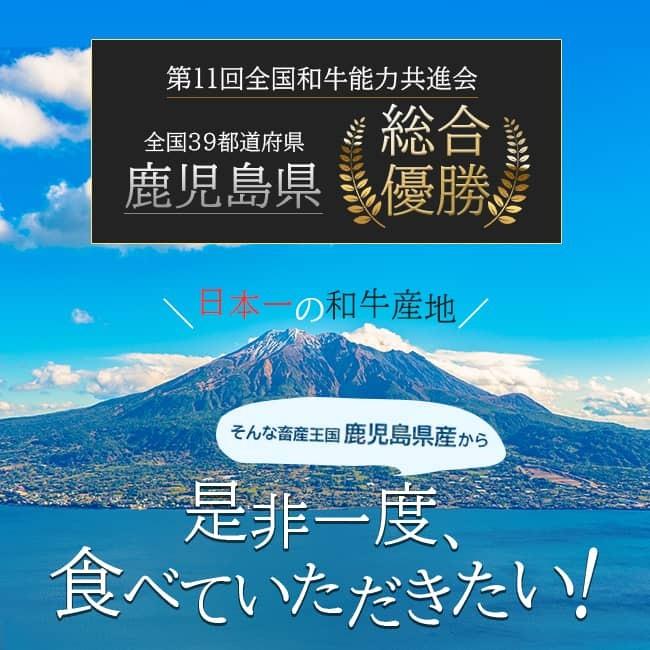 牛丼の具 4食 鹿児島県産 黒毛和牛 黒毛姫牛 A4 冷凍 ポイント消化 簡単 お取り寄せ ご当地 ブランド牛 送料無料 