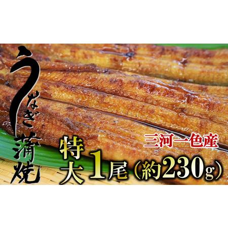 ふるさと納税 愛知県三河一色産 活うなぎの蒲焼き 特大サイズ1尾（約230g） （14-29） 兵庫県西脇市