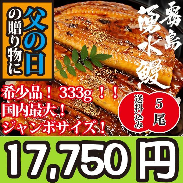 国産最大サイズ！山椒付き！333g山田水産が世界に誇る霧島湧水のうなぎの蒲焼き約333g 5本