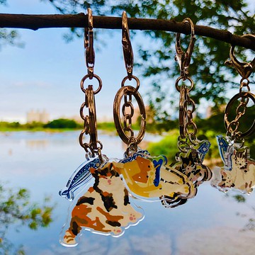 貓咪插畫-壓克力鑰匙圈-橘貓玳瑁三花白橘貓毛孩寵物定制