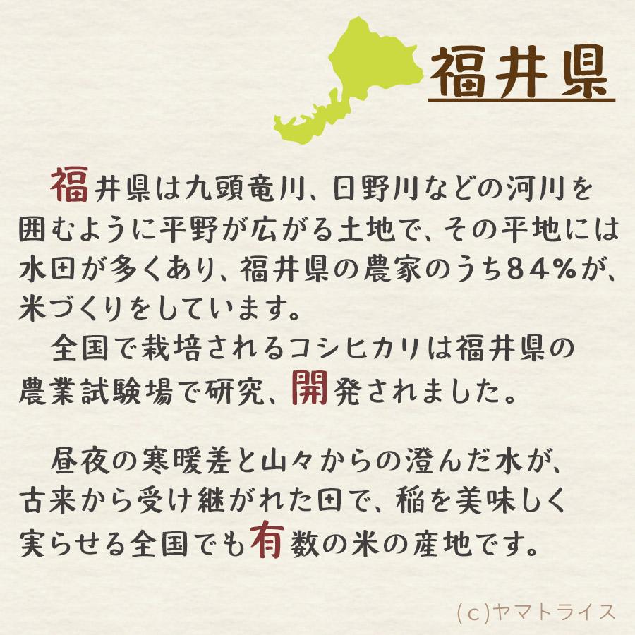 福井県産 いちほまれ 白米 5kg 令和4年産