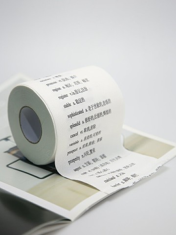 英語單詞衛生紙沙雕玩具創意抖音同款送男朋友女閨蜜學生生日禮物