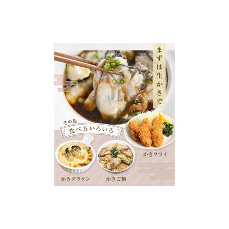 ふるさと納税 牡蠣 氷温熟成 冷凍牡蠣 生食用 220g×9袋 約2kg 宮城県産 小分け 冷凍かき 冷凍カキ 冷凍牡蠣 かきむき身 カキむき身 牡蠣む.. 宮城県石巻市