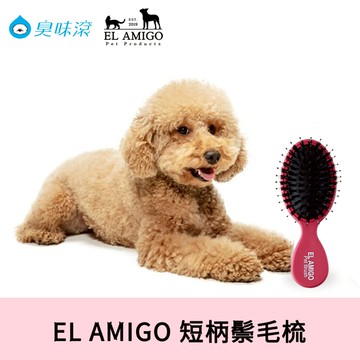【韓國EL AMIGO】短柄鬃毛梳