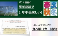 クラウンメロン　白　１玉入　12ヶ月連続届け