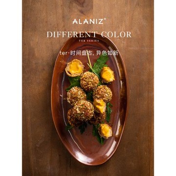alaniz南茲ter鐵紅色異形橢圓盤魚盤蒸魚盤炒菜盤不規則陶瓷餐具