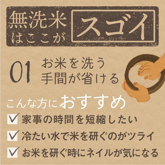 無洗米 新潟県産 新之助 白米 精米 2kg 令和5年産 新米 しんのすけ 2キロ 農家直送 お米