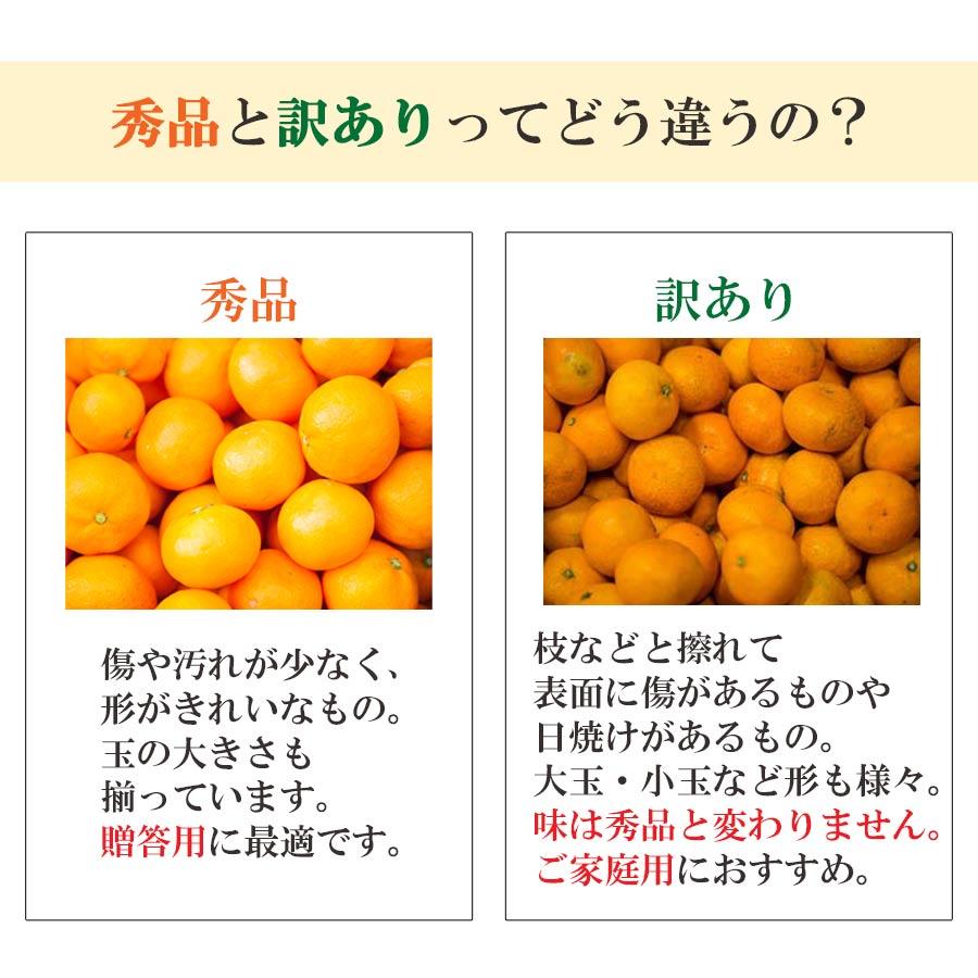 みかん 5kg 甘い 訳あり 小玉 3S〜Sサイズ 50〜80玉前後入り 愛媛 西宇和 八幡浜市 010134000710