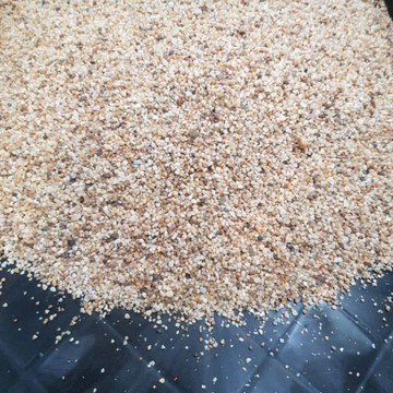 P老闆水族~美國細砂 500g 1kg  魚缸造景 底砂 園藝鋪面 水草