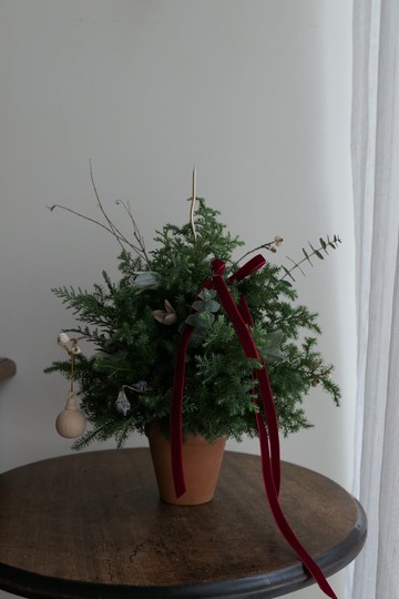 【好花】假裝是蛋糕的聖誕小樹