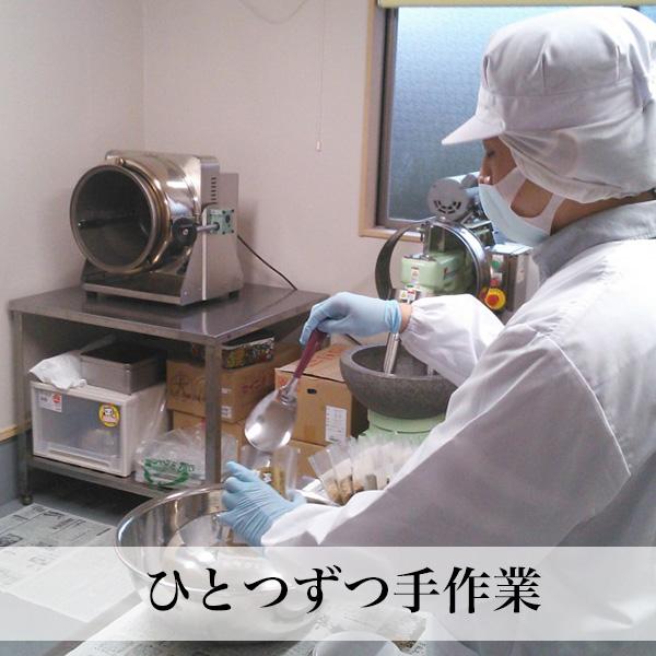 国産ごま 白ごま 煎りごま 2袋入 無農薬 無化学肥料 除草剤不使用 宮崎県産 メール便