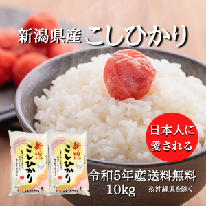 新潟県産 コシヒカリ 10kg セット （5キロ×2袋）  米 10キロ 送料無料 精米 令和5年 10kg