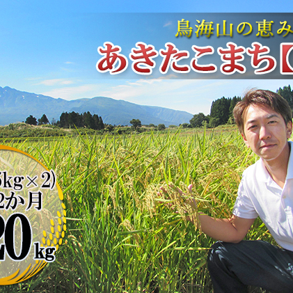 10kg×12ヶ月 鳥海山の恵み 農家直送！ あきたこまち（玄米・5kg×2袋）