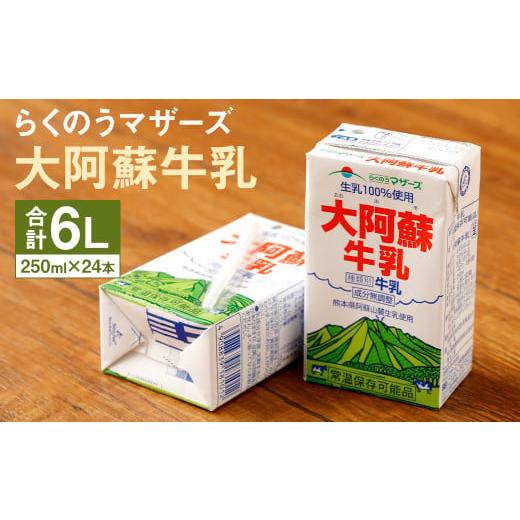 ふるさと納税 熊本県 菊池市 大阿蘇牛乳 1ケース（250ml×24本）成分無調整牛乳 生乳100% らくのうマザーズ