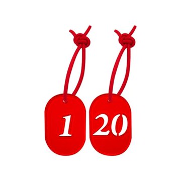 【W.I.P 台灣聯合】寄物用 號碼牌 1~60號 3x4.5cm 附繩 / 個 NO.300